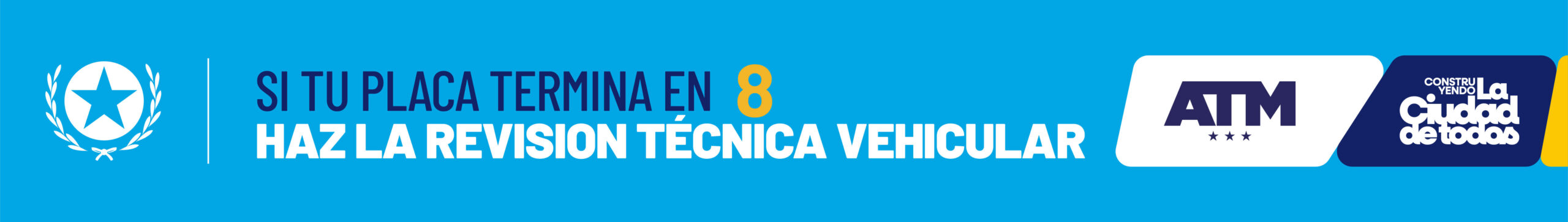 RTV Revisión Técnica Vehicular 8